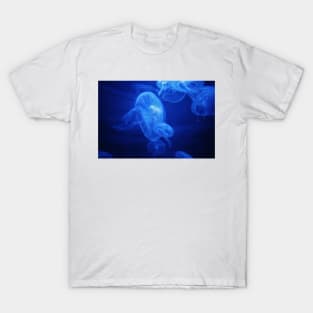 Moon Jelly T-Shirt